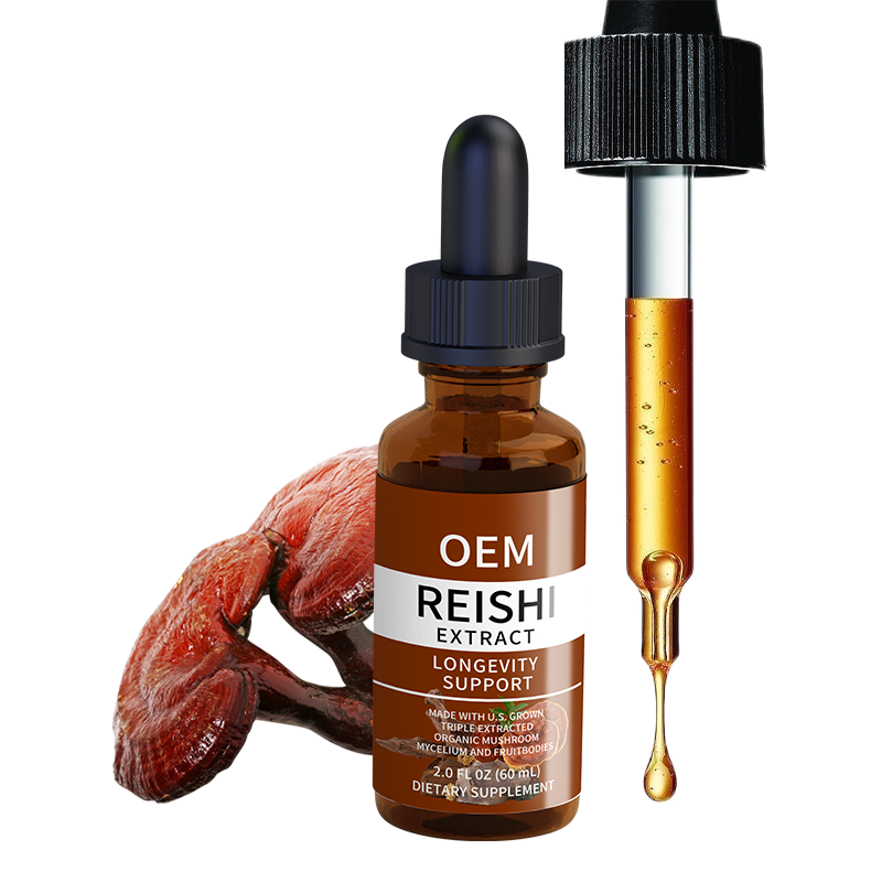 Reishi Capsules Factory - OEM Mushroom Extract Supplement
