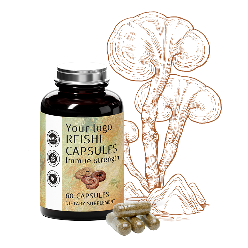 Reishi Capsules Factory - OEM Mushroom Extract Supplement