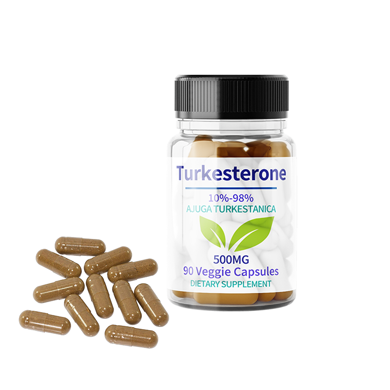 Turkesterone Capsules Manufacturer - OEM Ajuga Extract 10-40%