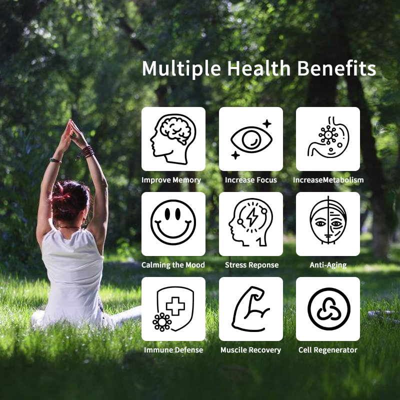 Mushroom Gummies Manufacturer - OEM Lions Mane Brain Supplement