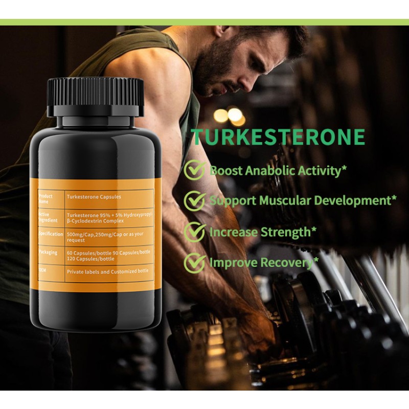 Turkesterone Capsules Manufacturer - OEM Ajuga Extract 10-40%