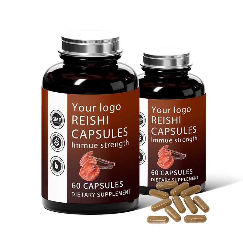 Reishi Capsules Factory - OEM Mushroom Extract Supplement