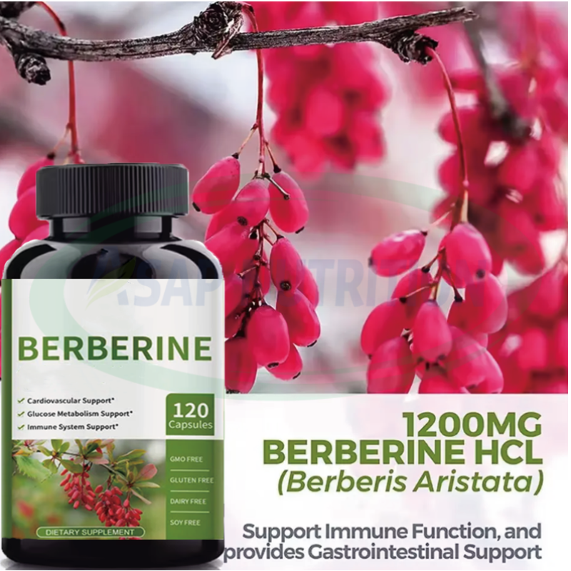 Berberine Tablets Supplier - OEM 500mg 1000mg Hcl Supplement