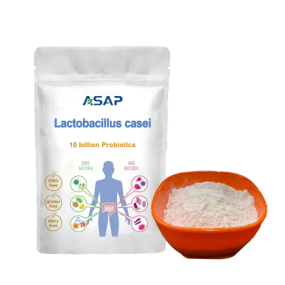 Lactobacillus Powder Supplier - OEM Rhamnosus Health Supplement Powder