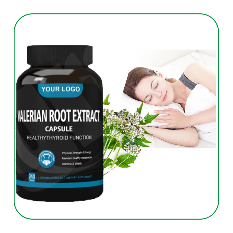 Valerian Capsules Manufacturer - OEM 500mg Vegan Herbal Sleep