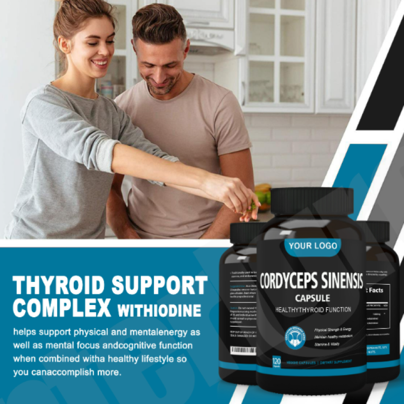 Cordyceps Capsules Manufacturer - OEM Sinensis Mushroom Herbal Extract