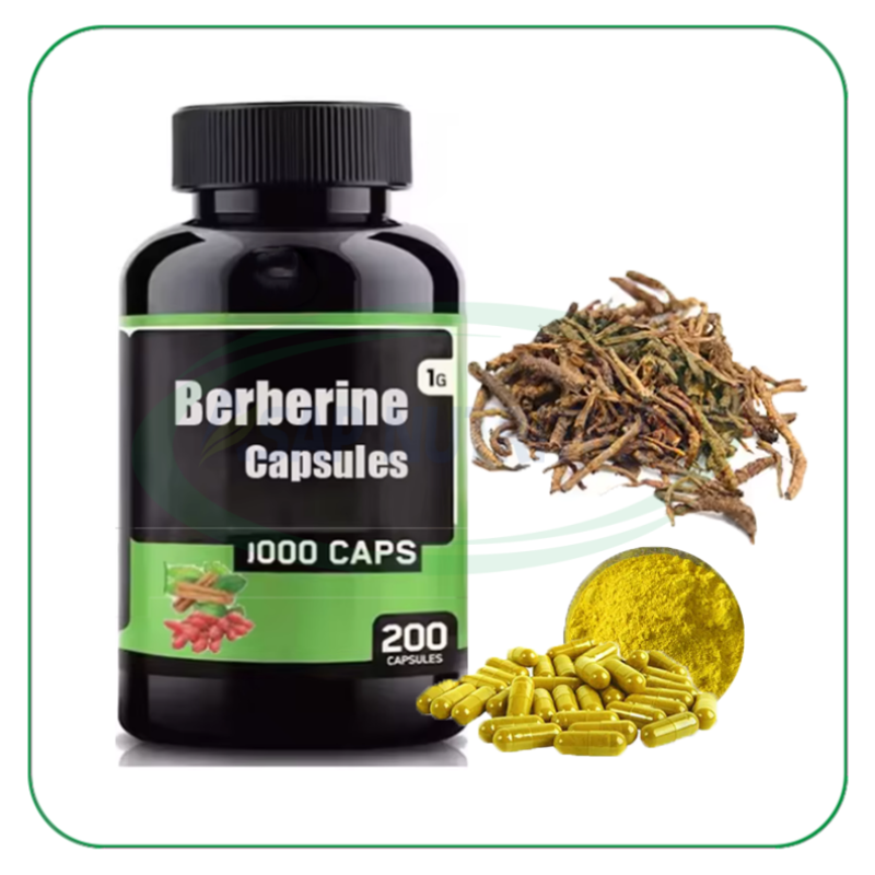 Berberine Capsules Factory - OEM 98% High Strength 500mg Hcl