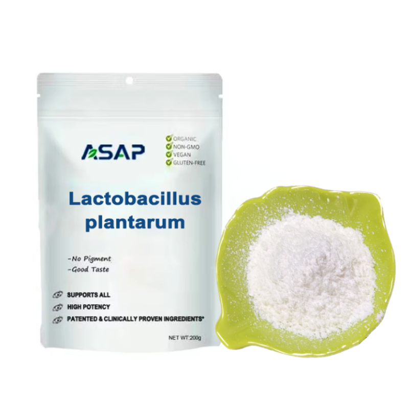 Lactobacillus Powder Supplier - OEM Salivarius Organic Probiotic Powder