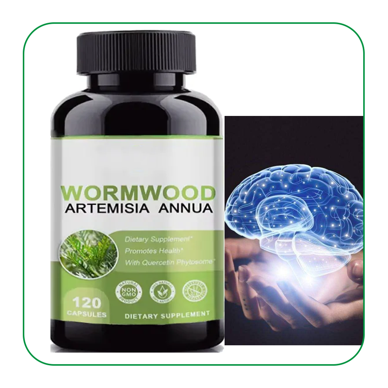 Artemisinin Capsules Factory - OEM Natural 500mg Extract Supplement