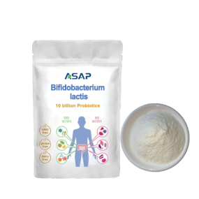 Bifidobacterium Powder Supplier - OEM Food Grade Probiotic Supplement