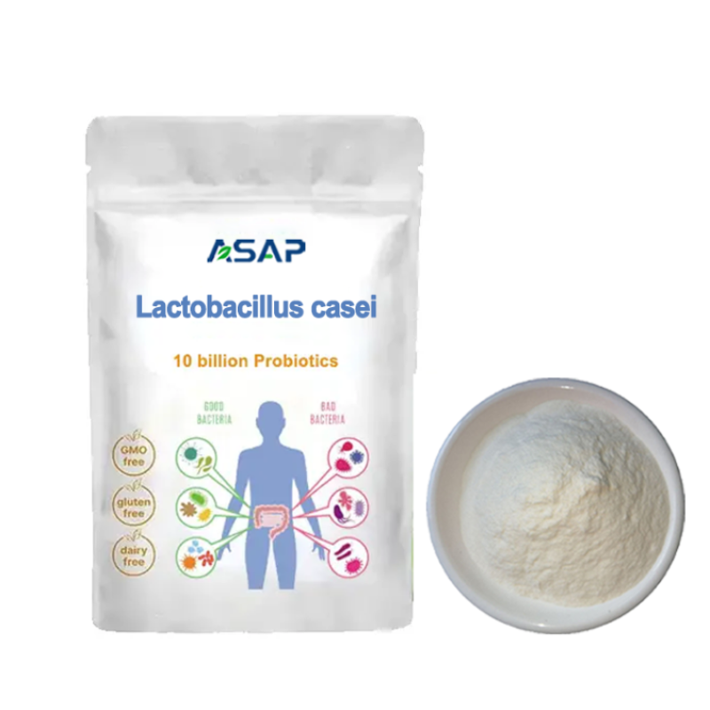 Lactobacillus Powder Supplier - OEM Rhamnosus Health Supplement Powder