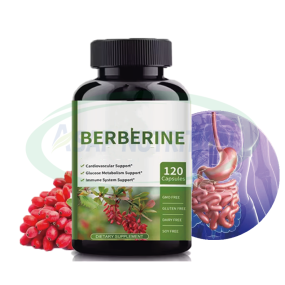 Berberine Tablets Supplier - OEM 500mg 1000mg Hcl Supplement