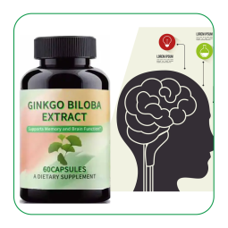 Ginseng Capsules Manufacturer - OEM Ginkgo Biloba Extract 500mg