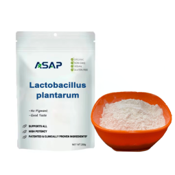 Lactobacillus Powder Supplier - OEM Salivarius Organic Probiotic Powder