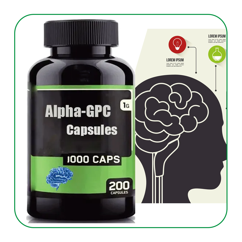 Alpha-GPC Capsules Supplier - OEM Brain Supplement L Theanine