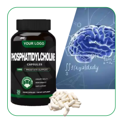 Phosphatidylcholine Capsules Factory - OEM Soybean Extract Supplement