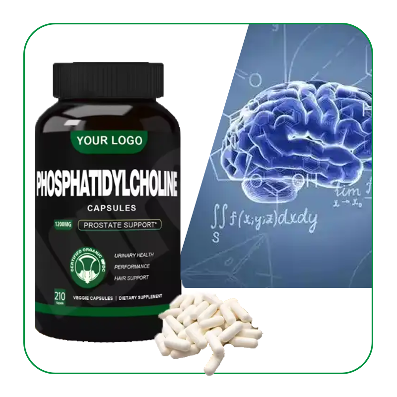 Phosphatidylcholine Capsules Factory - OEM Soybean Extract Supplement