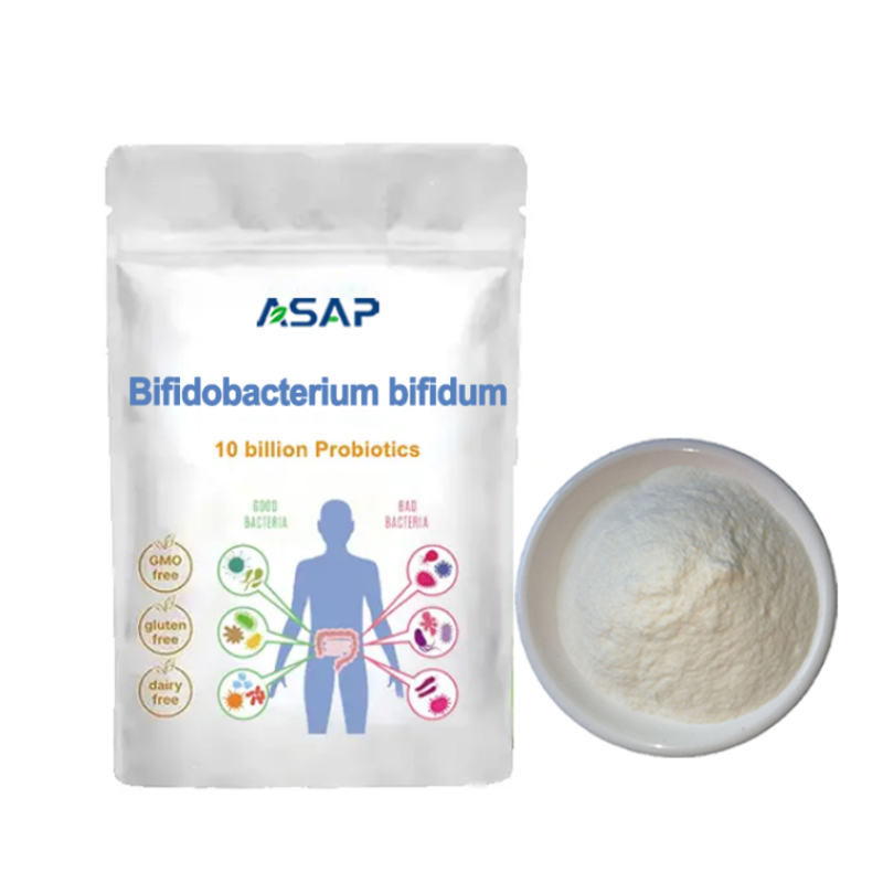 Bifidobacterium Powder Supplier - OEM Longum Freeze Dried Probiotic