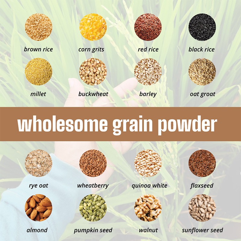 Multigrain Powder Factory - Premium Nuts Extruded Nutrition