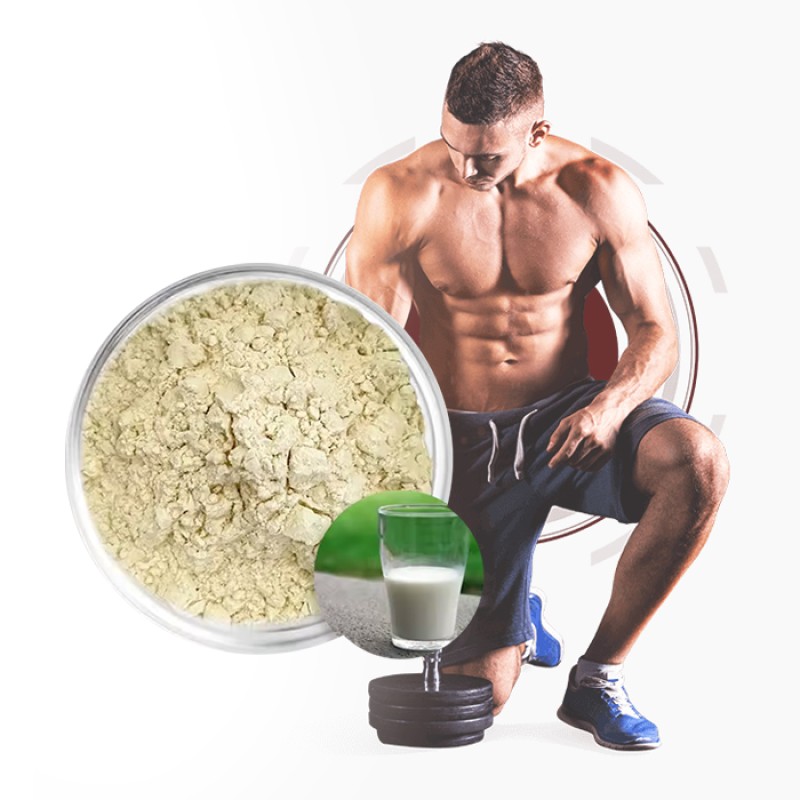 Whey Protein Powder Supplier - Concentrated 80% Milk Extract