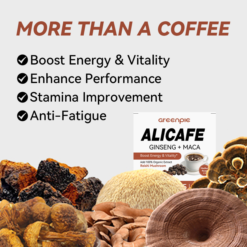Energy Support Coffee Factory - OEM Ginseng Maca Reishi Mushroom