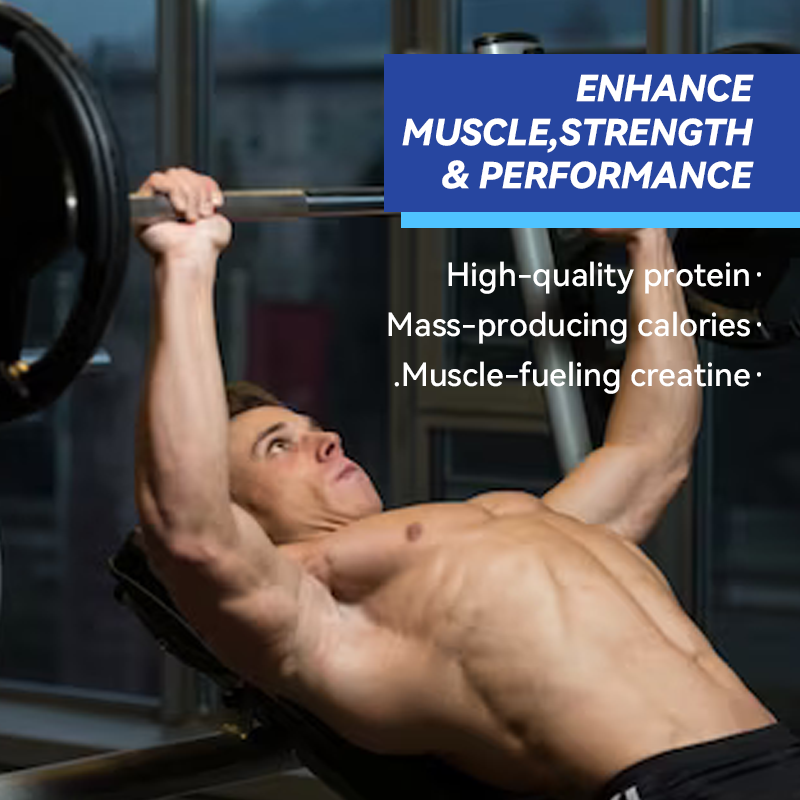 High Carb Protein Powder Supplier - OEM Weight Gain Nutrition Support