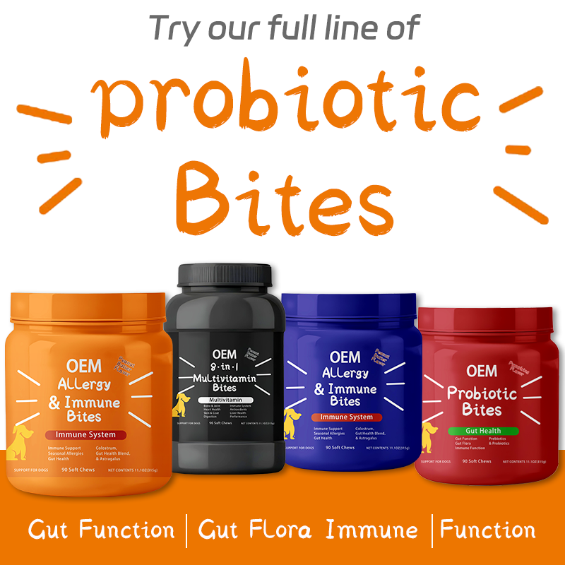Dog Allergy Supplement Manufacturer - OEM Probiotics Itching Skin Relief
