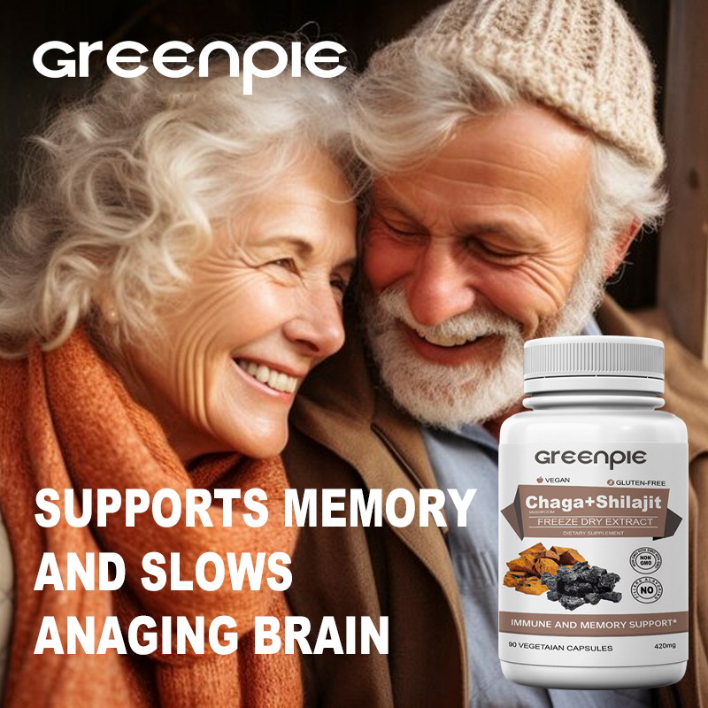 Shilajit Capsules Manufacturer - OEM Pure Himalayan Freeze Dry Extract