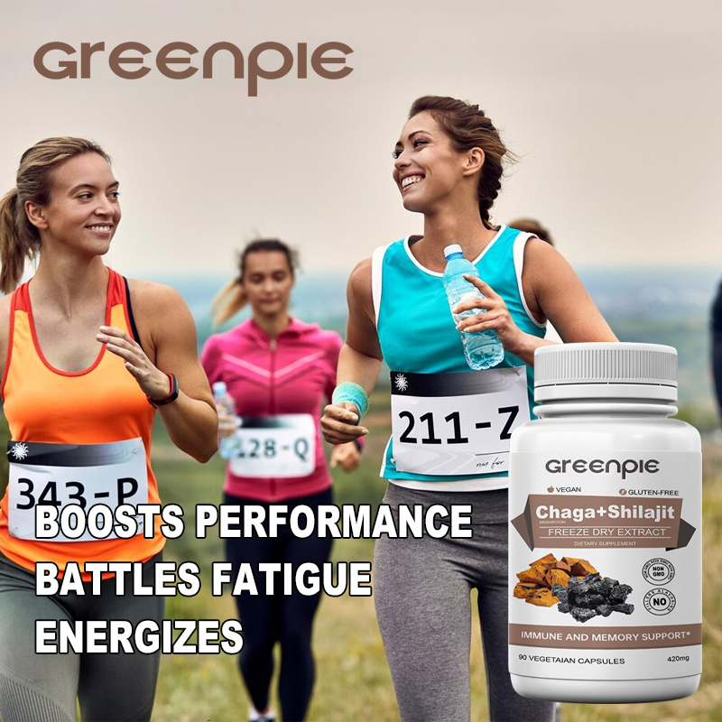 Shilajit Capsules Manufacturer - OEM Pure Himalayan Freeze Dry Extract