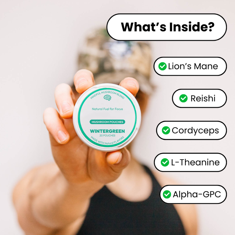 Energy Nootropic Pouches Supplier - OEM Natural Focus Memory Enhancement