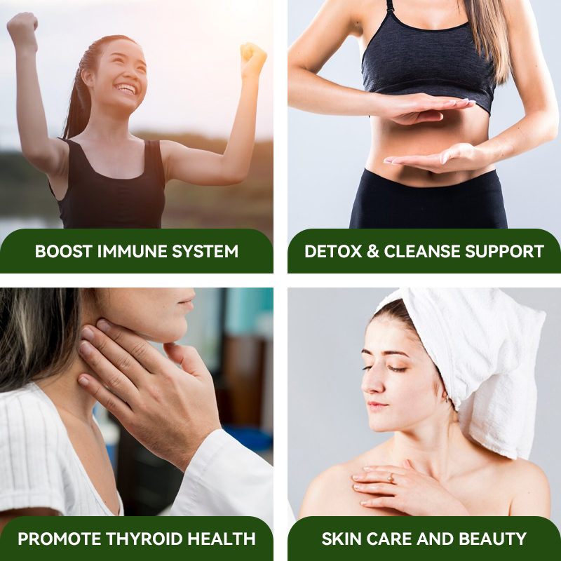 Sea Moss Gummies Factory - OEM Nutritional Energy Support Gummy