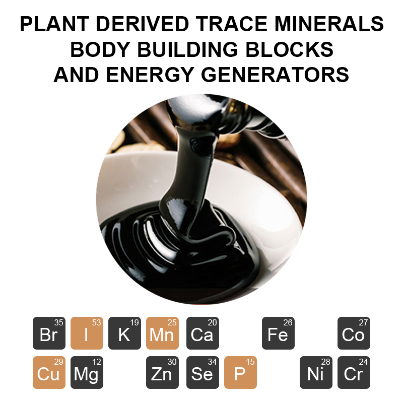 Shilajit Resin Factory - OEM Himalayan Fulvic Humic Acid Minerals
