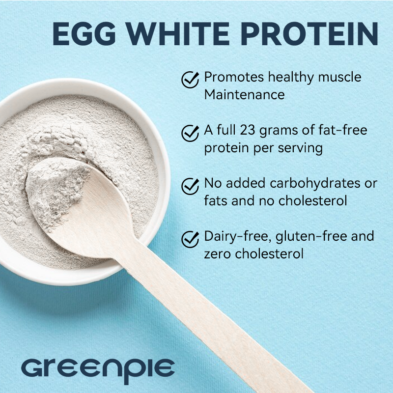 Egg White Protein Powder Manufacturer - OEM Vanilla Extra Meal Nutrition