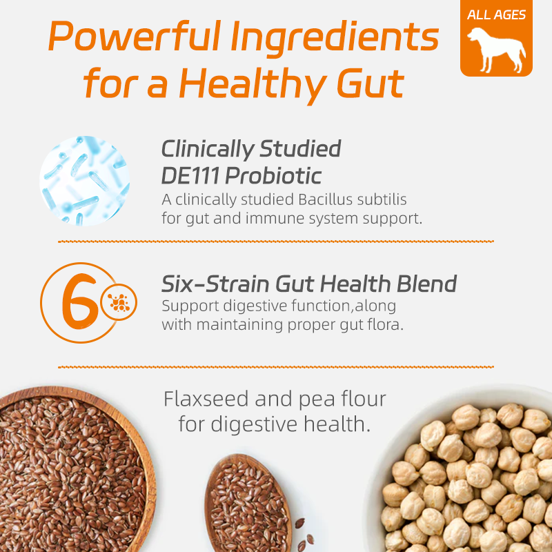 Dog Allergy Supplement Manufacturer - OEM Probiotics Itching Skin Relief