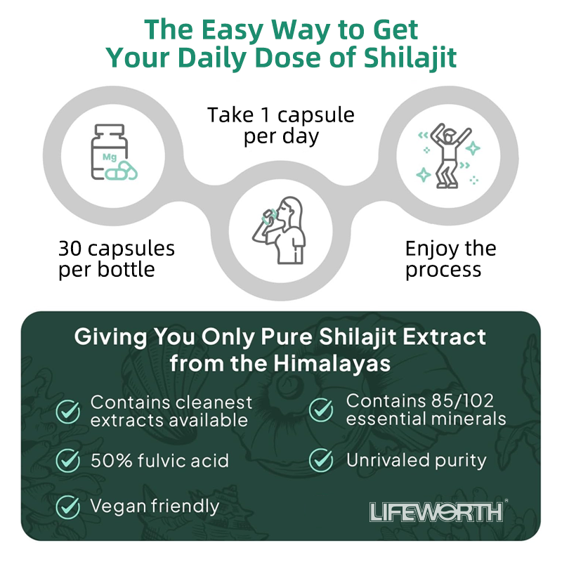 Shilajit Capsules Factory - OEM Fulvic Acid Energy Support Capsules