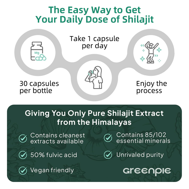 Shilajit Capsules Factory - OEM Fulvic Acid Energy Support Capsules