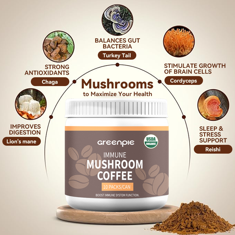Mushroom Extract Coffee Supplier - OEM Neutral Taste Instant Powder