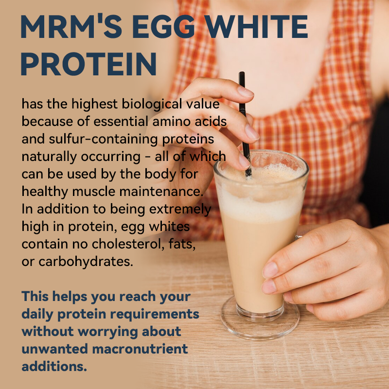 Egg Protein Powder Manufacturer - OEM Non-GMO Unflavored Egg Whites