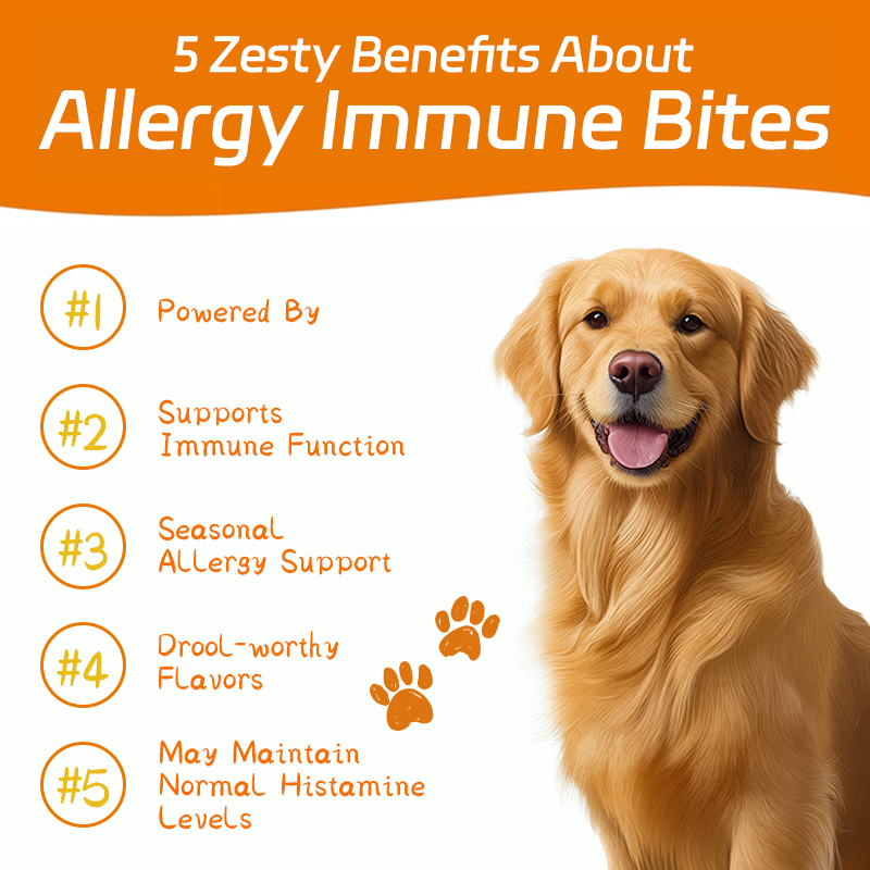 Dog Allergy Supplement Manufacturer - OEM Probiotics Itching Skin Relief