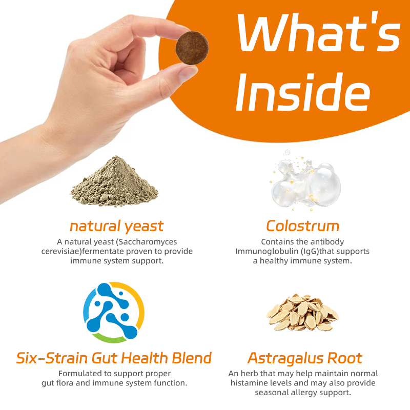 Dog Allergy Supplement Manufacturer - OEM Probiotics Itching Skin Relief