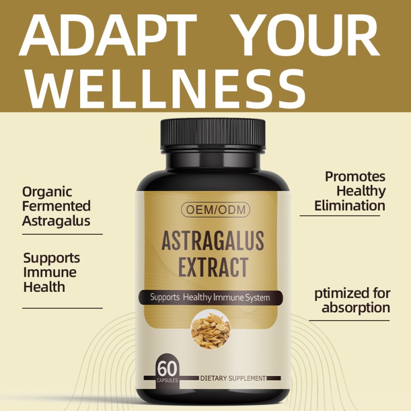 Astragalus Capsules Factory - OEM Blood Health Dietary Fiber Supplement