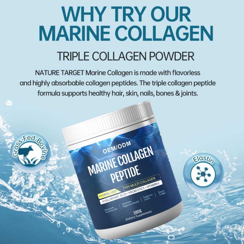 Collagen Peptides Powder Supplier - OEM Bulk Multi Collagen Supplement
