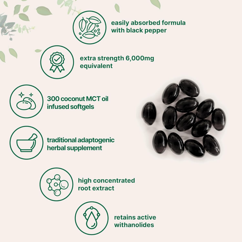 Ashwagandha Capsules Supplier - OEM Vegetarian Herbal Supplement