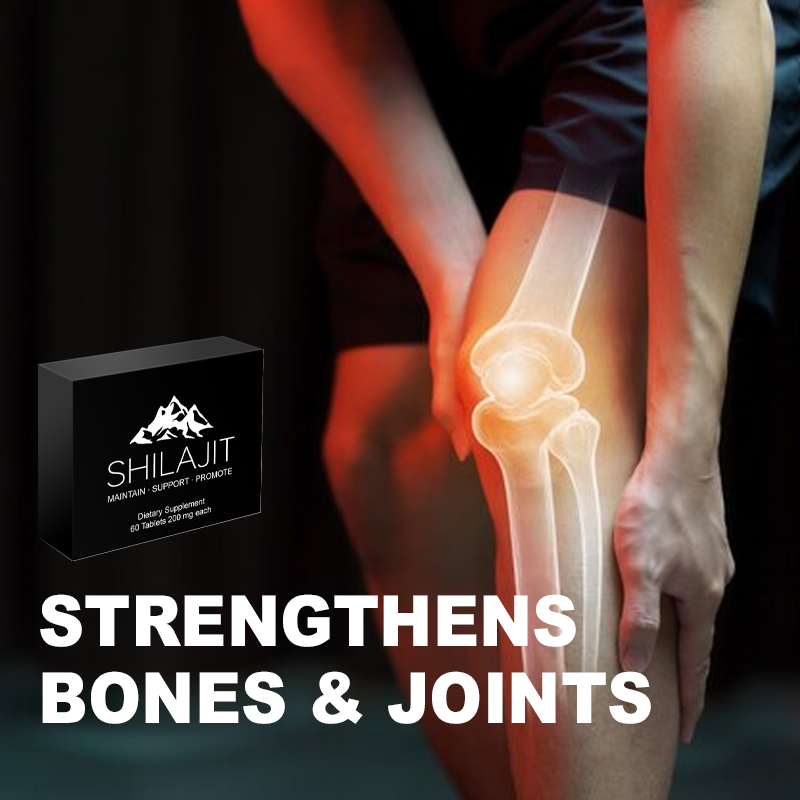 Shilajit Tablets Factory - OEM Himalayan Fulvic Acid Joint Bone
