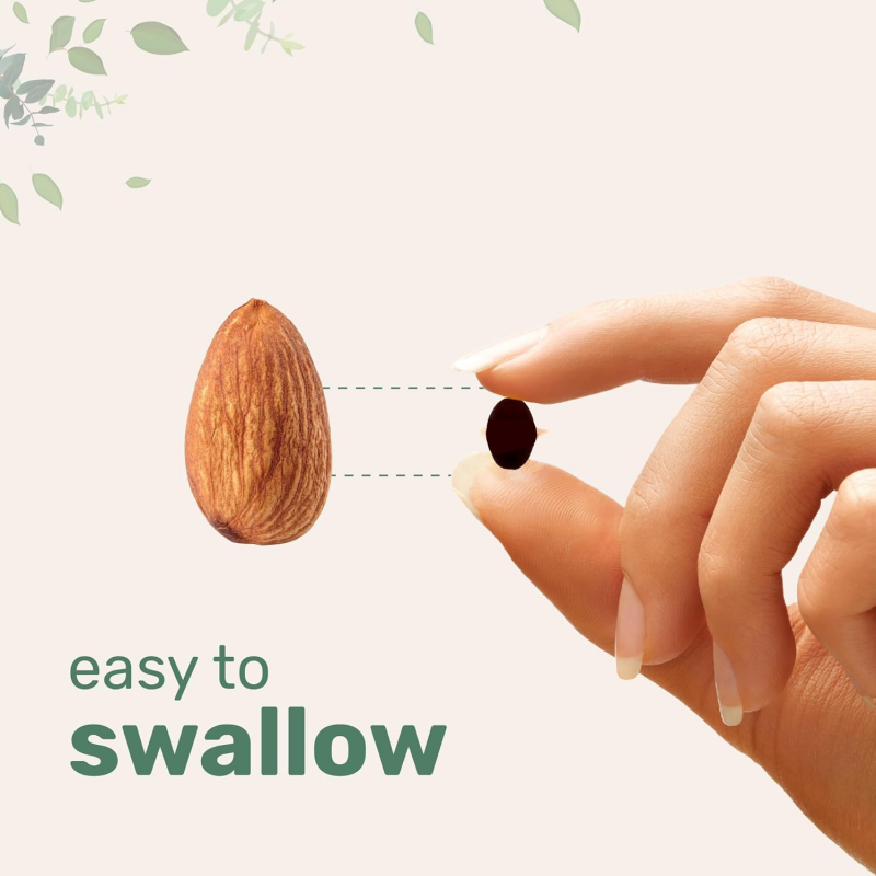 Ashwagandha Capsules Supplier - OEM Vegetarian Herbal Supplement