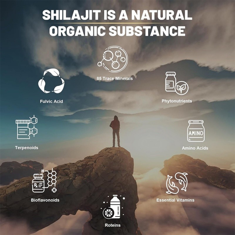 Shilajit Capsules Factory - OEM Himalayan Energy Balance Support