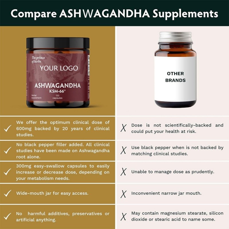 Ashwagandha Capsules Manufacturer - OEM KSM 66 Organic Root Extract