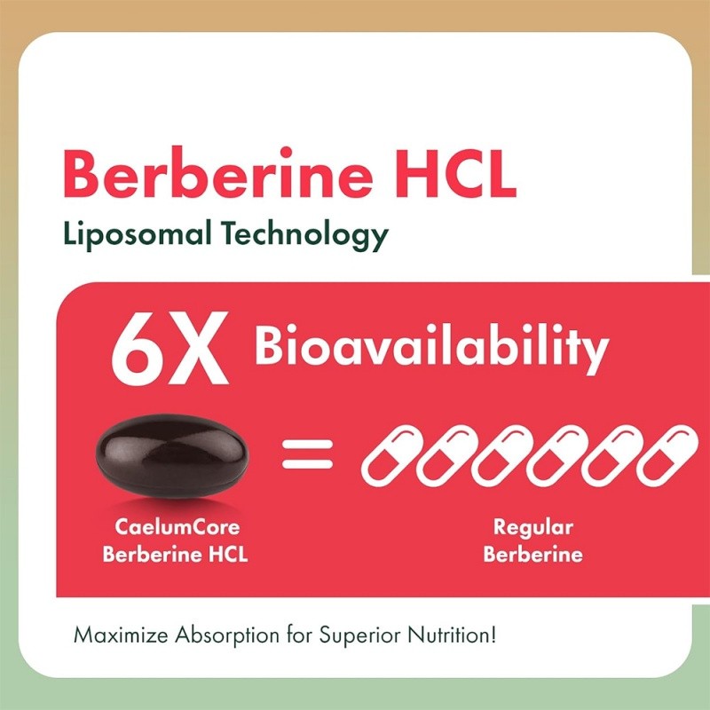 Berberine Capsules Manufacturer - OEM GLP-1 Metabolic Blood Sugar