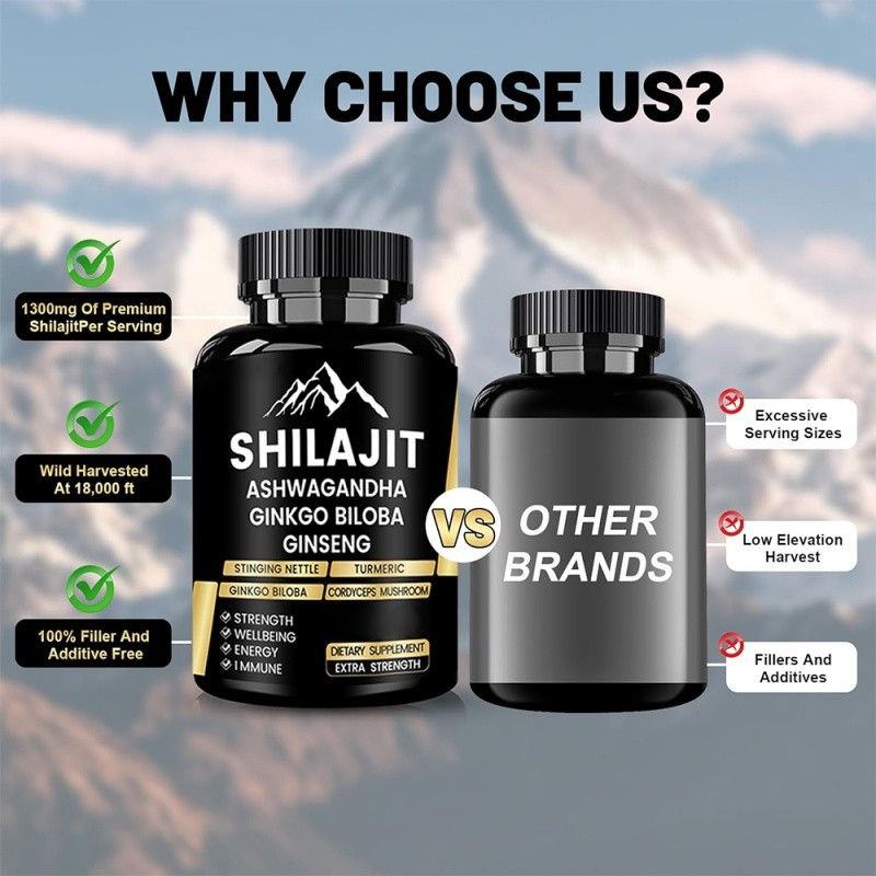 Shilajit Capsules Factory - OEM Himalayan Energy Balance Support