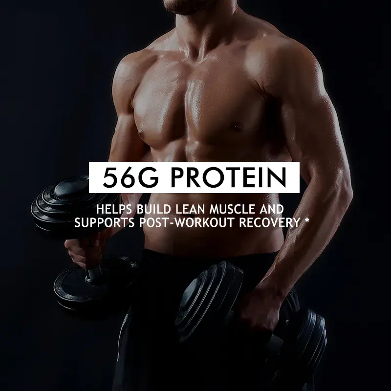 Vegan Protein Powder Factory - OEM Organic Plant Based High Protein